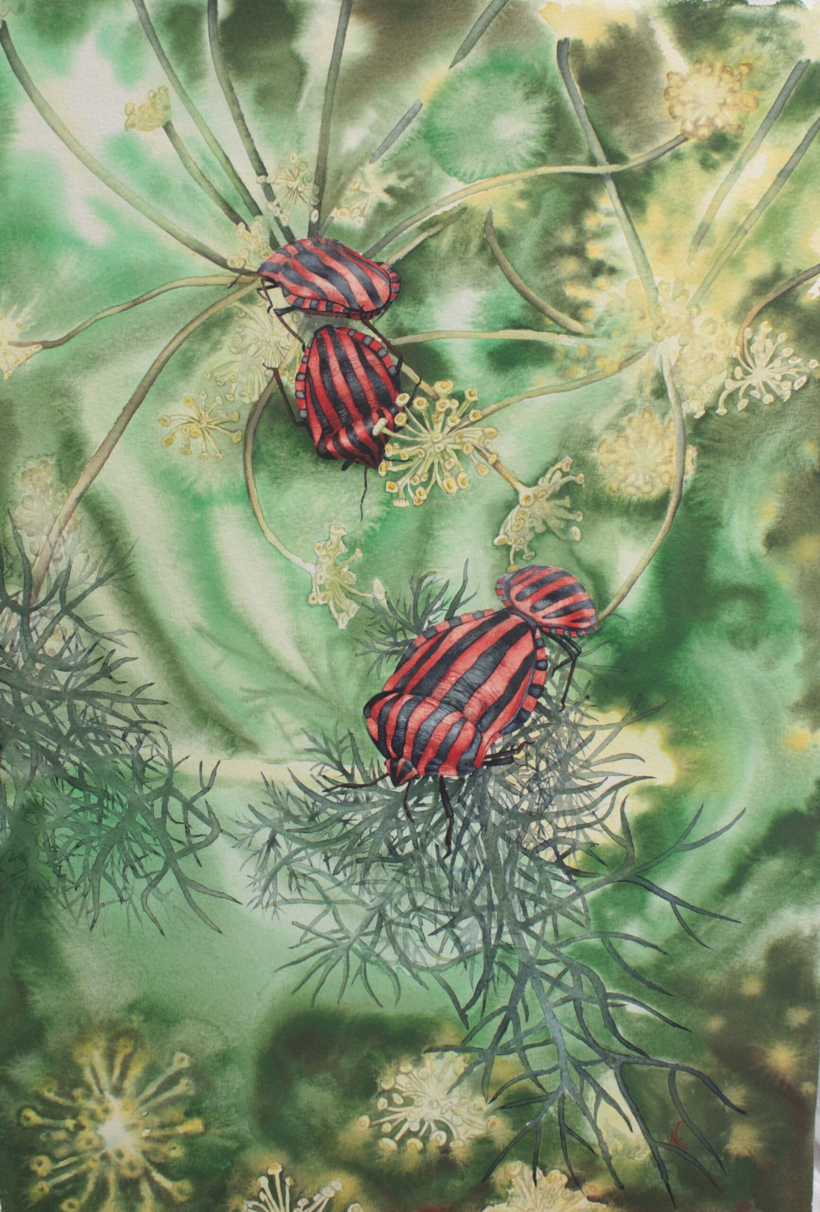 Arlequin