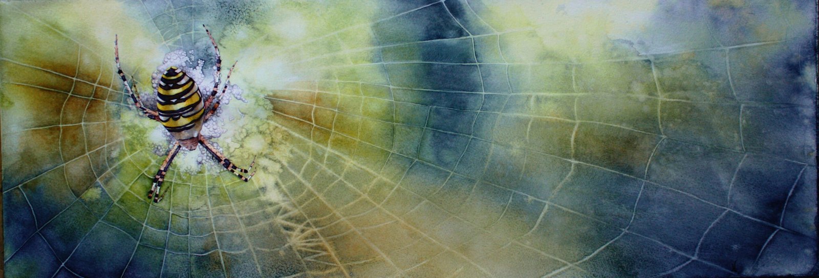 L&rsquo;araignée frelon 23x66cm