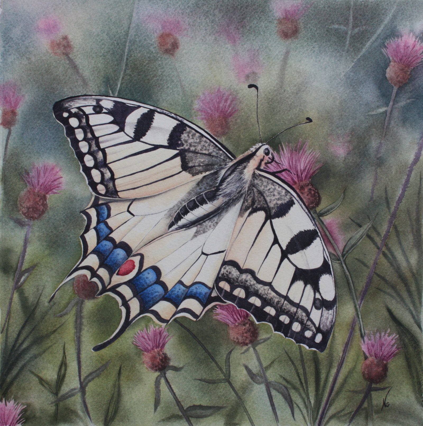 L&rsquo;architecture du Machaon