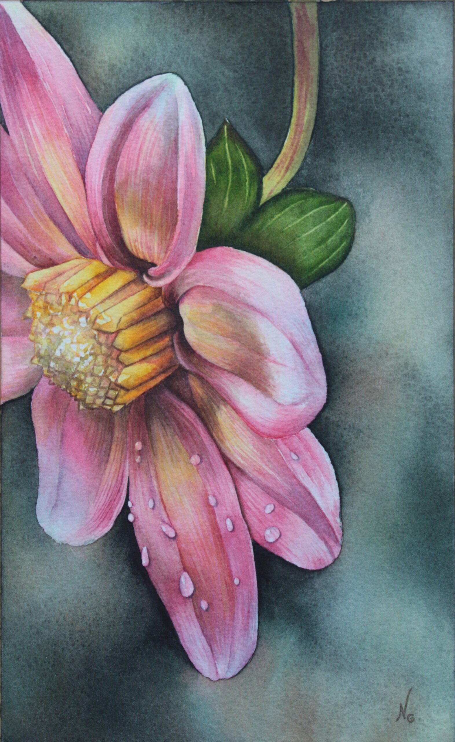 Rosée