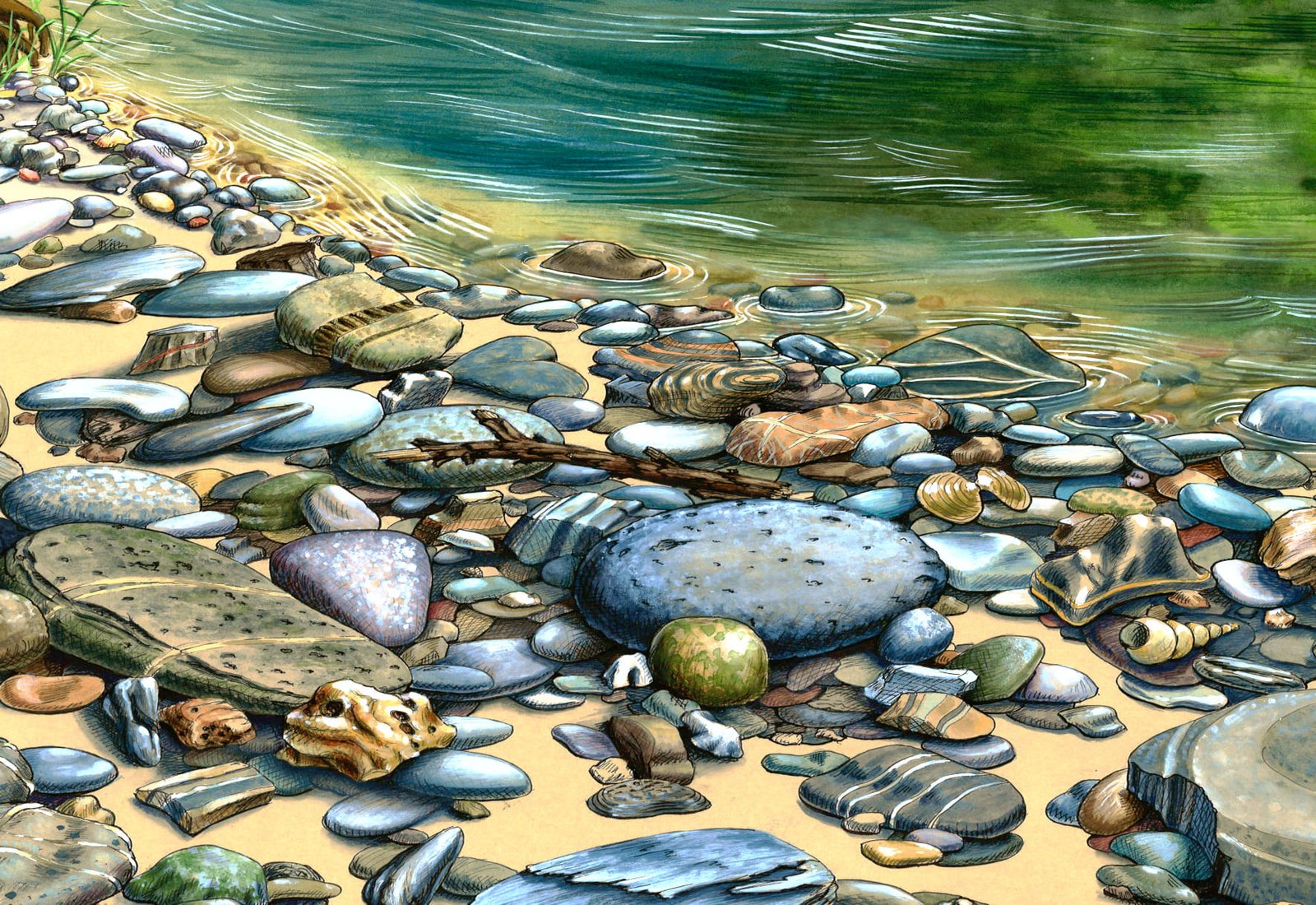 Rivière et galets